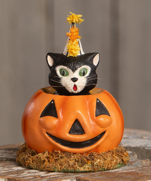 cecils-halloween-hang-out-cat-