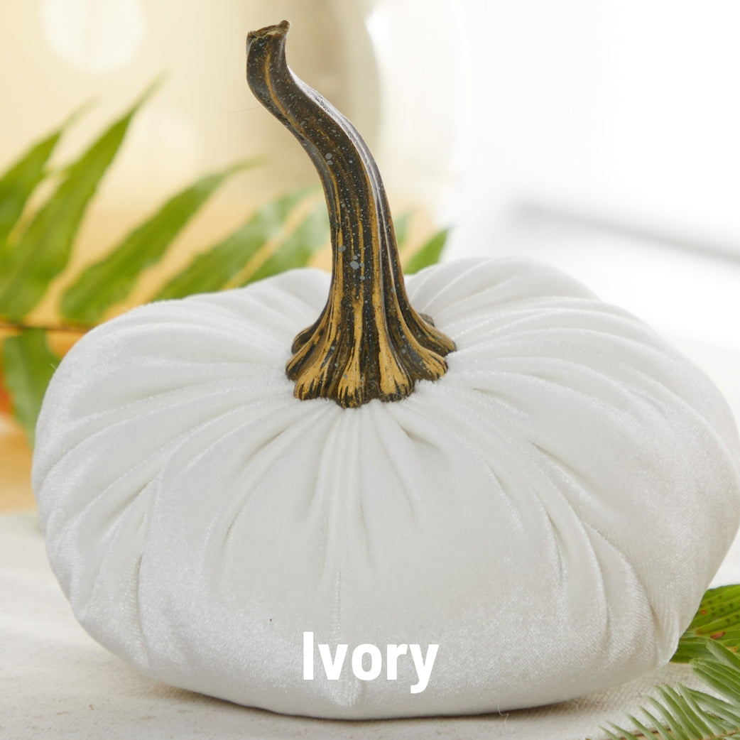Ivory Velvet Pumpkins