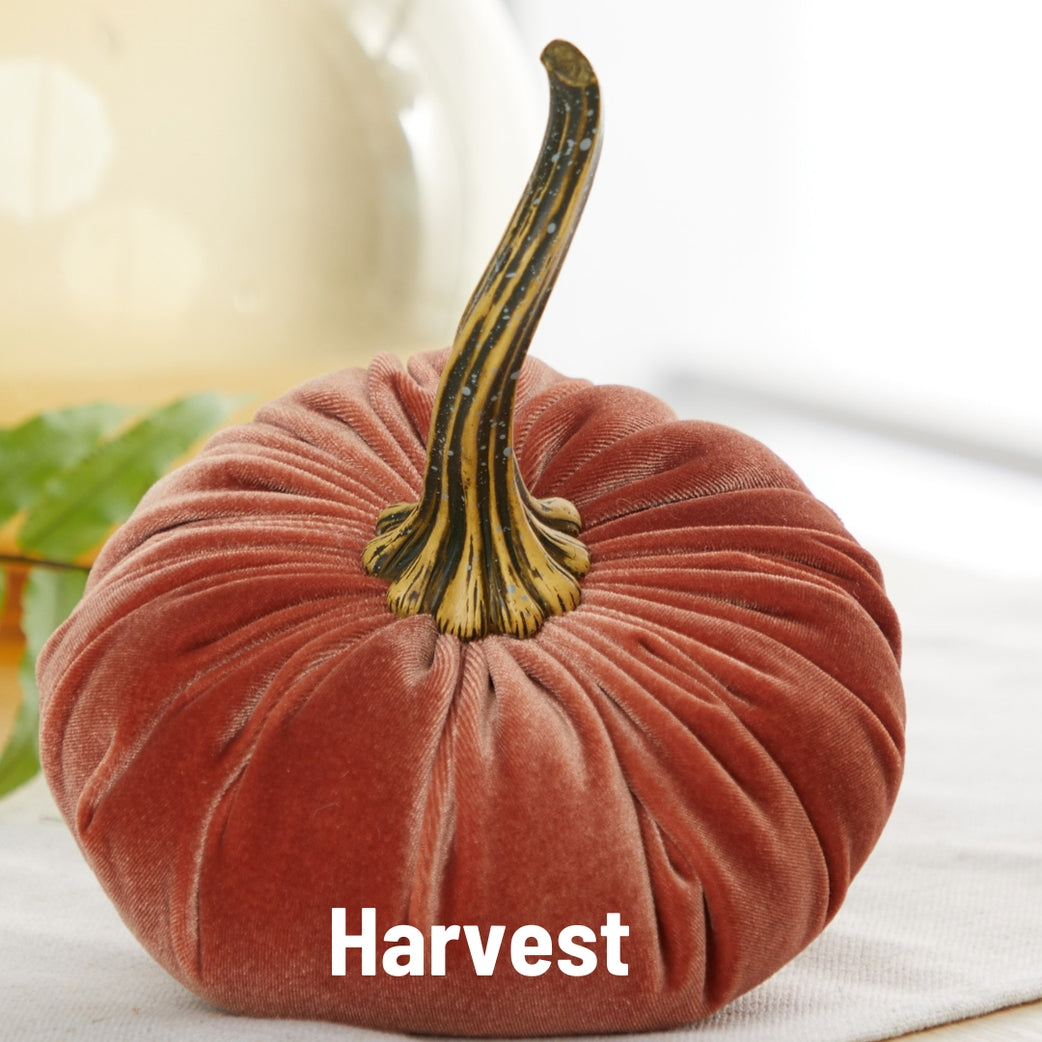 Velvet Pumpkins, Harvest Orange Velvet