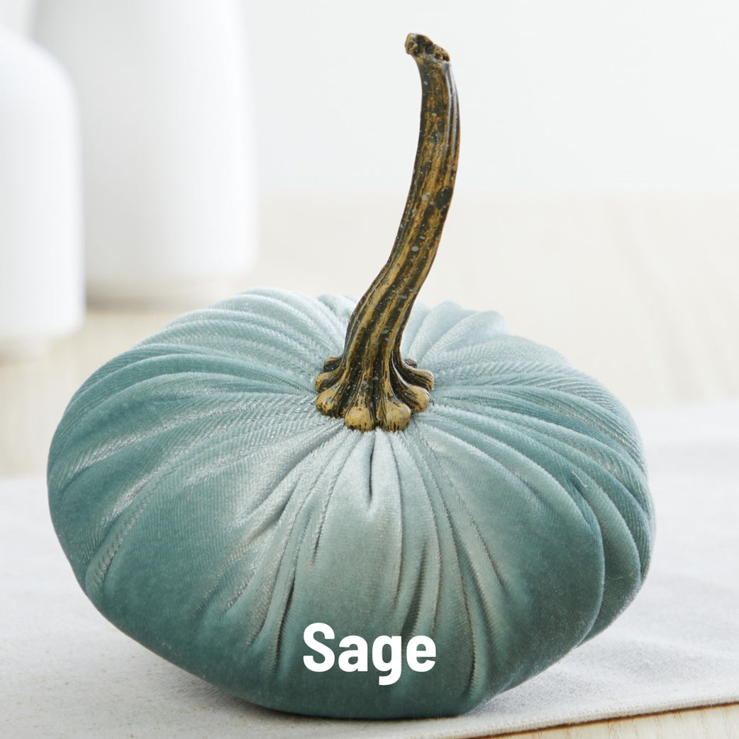 Blue-Green Velvet Pumpkins, Sage