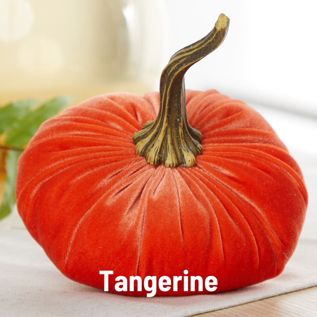 Velvet Pumpkins, Tangerine - Bright Orange pumpkin