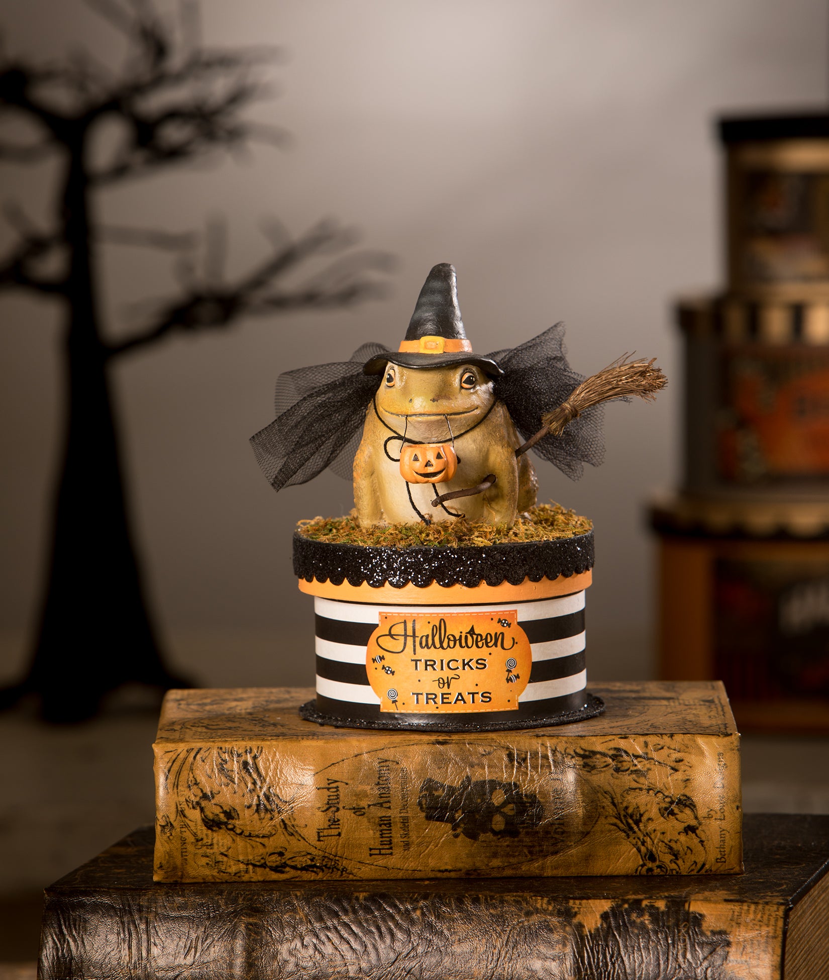 Witch Toad on Box by Bethany Lowe