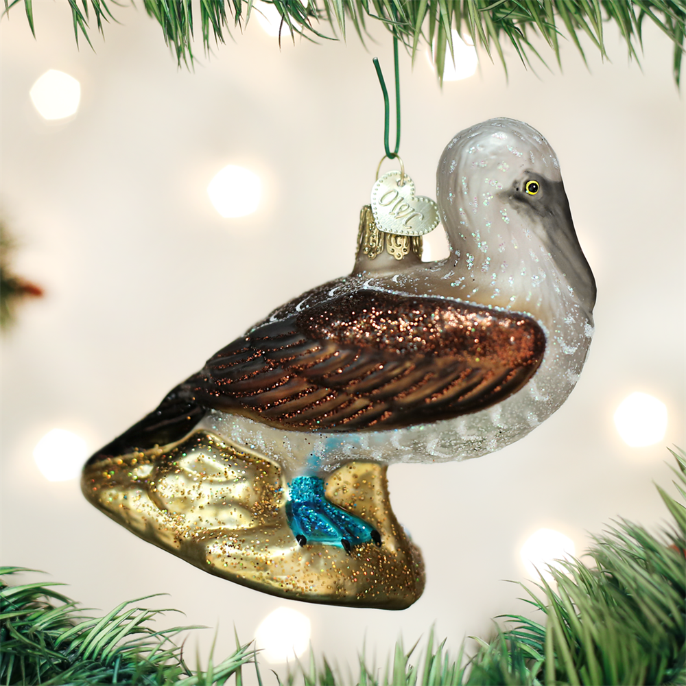 Blue Footed Booby Ornament by Old World Christmas