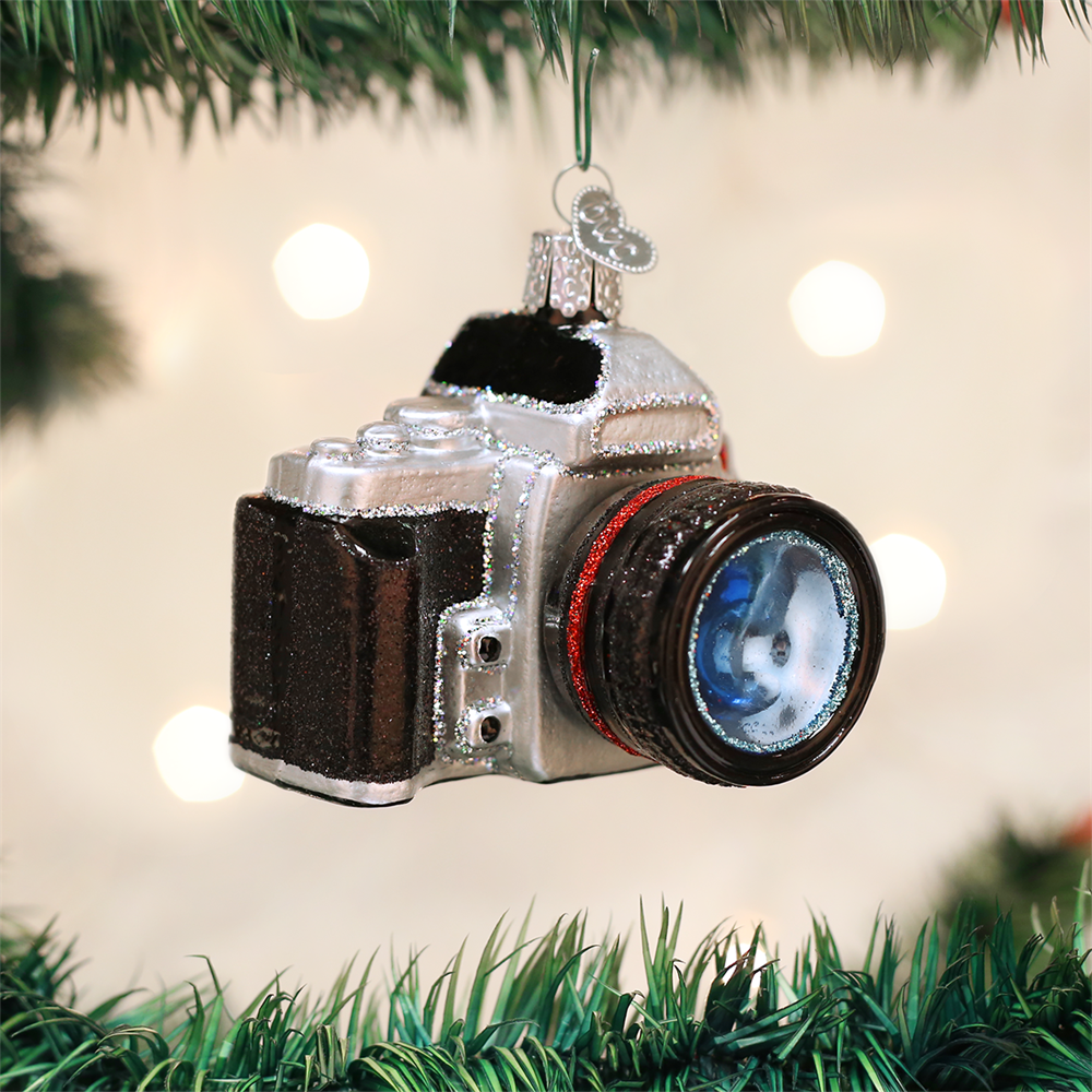 Glass Camera Ornament