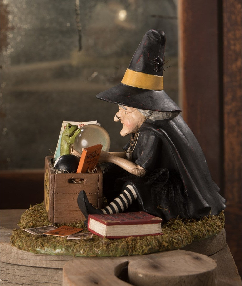 Fortune Teller Witch Learning How To Tell Fortunes