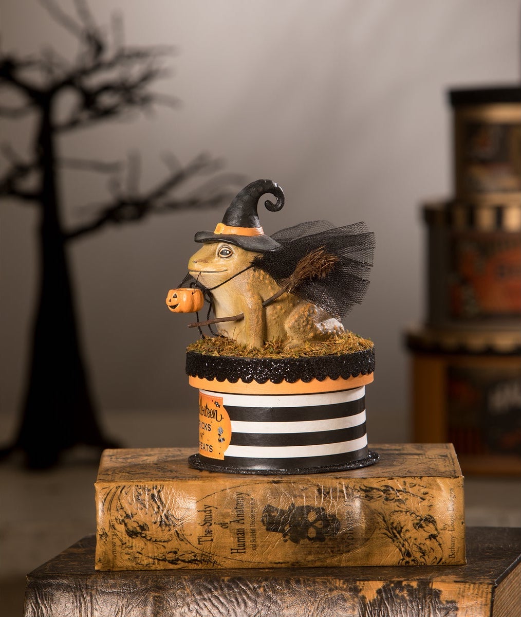 Witchy Toad On Box - Toad Dressed Up as a Witch