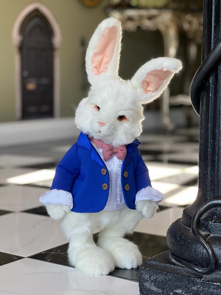 Charlie Bears White Rabbit - TheHolidayBarn.com