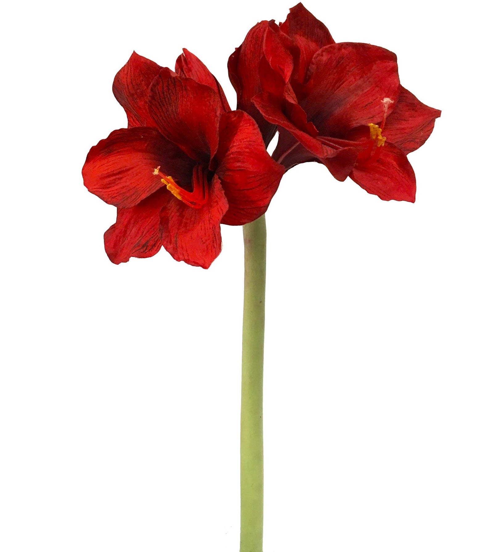 Red Amaryllis Stem, Faux Flowers for Christmas Decorating