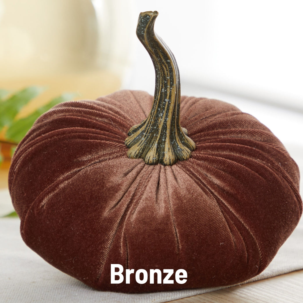 Velvet Pumpkin, Bronze Brown