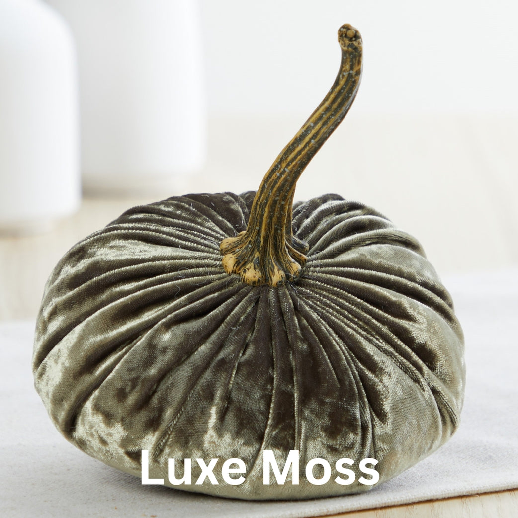 Velvet Pumpkin, Luxe Moss Green - Small Pumpkin
