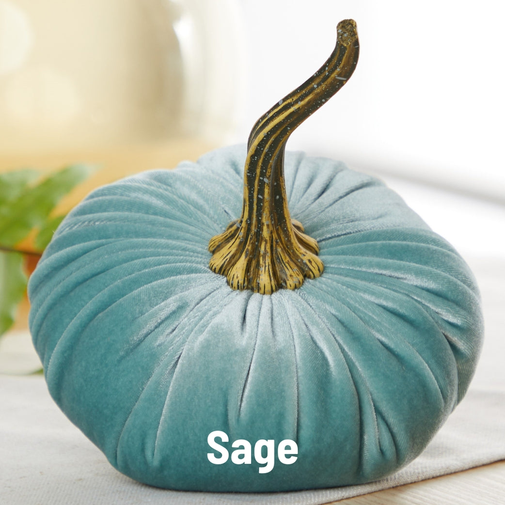 Velvet Pumpkins - Sage Blue-Green Pumpkin