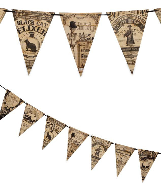 A Cabinet Of Curiosities Pennant Garland - Bethany Lowe