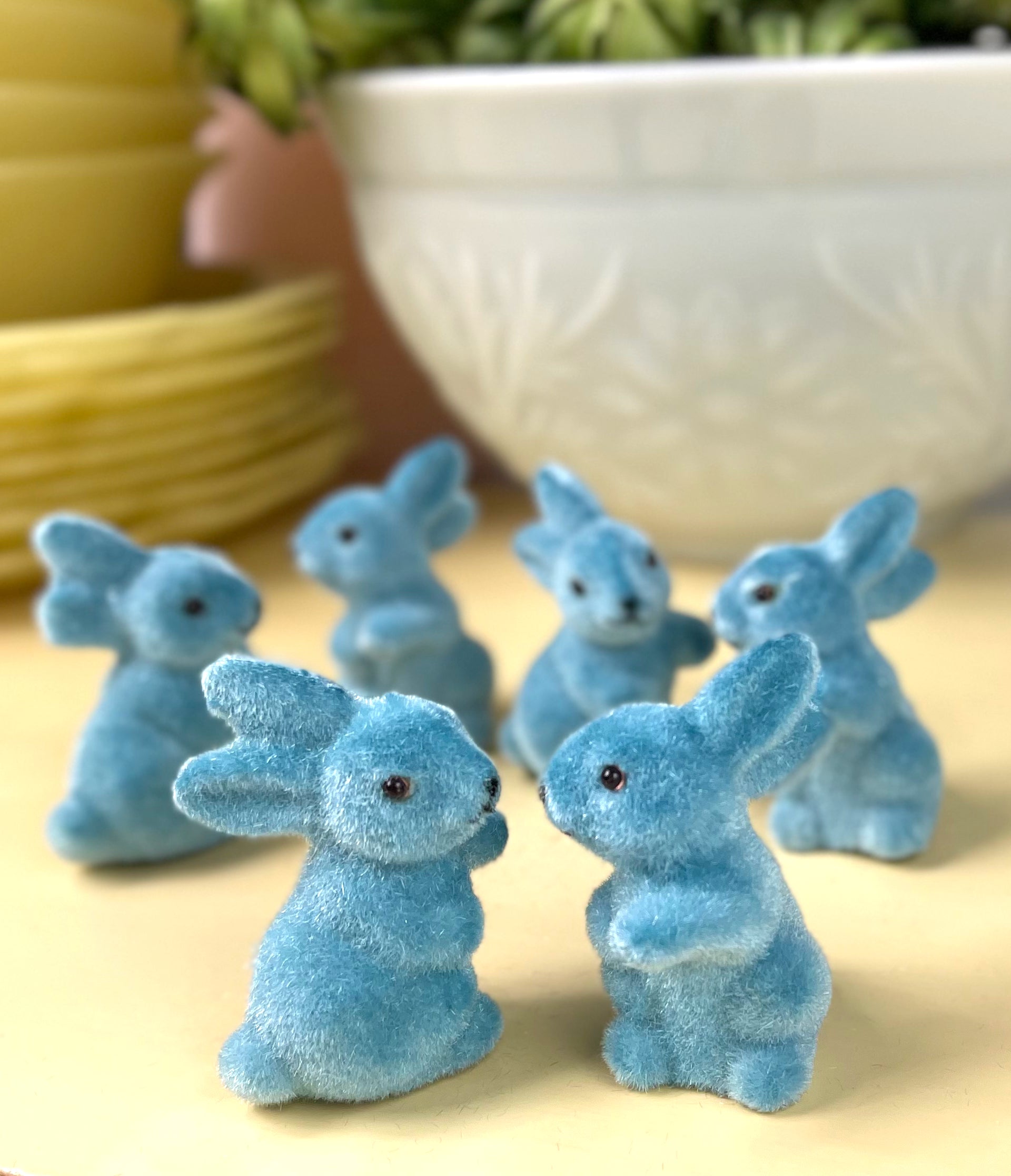Shop Blue Rabbit Blue Little Rabbit