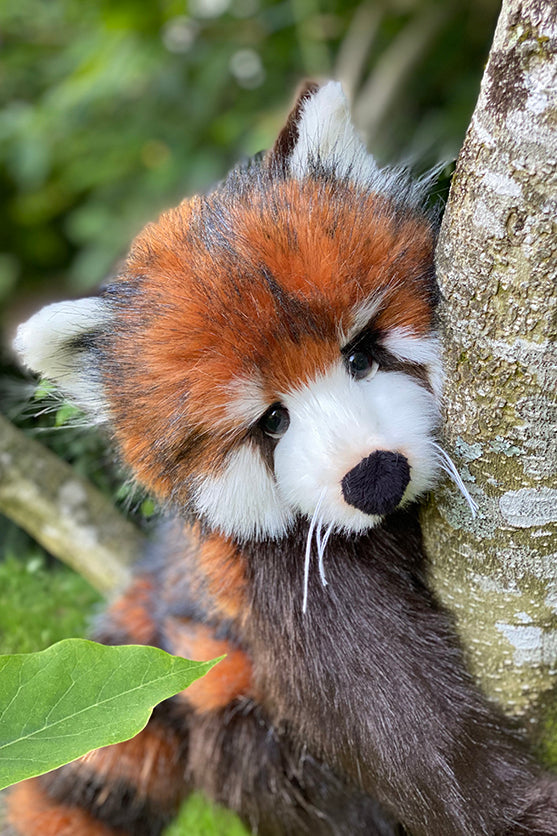 Cute Panda Plush Stuffed Animals- Adorable Mini Plushie