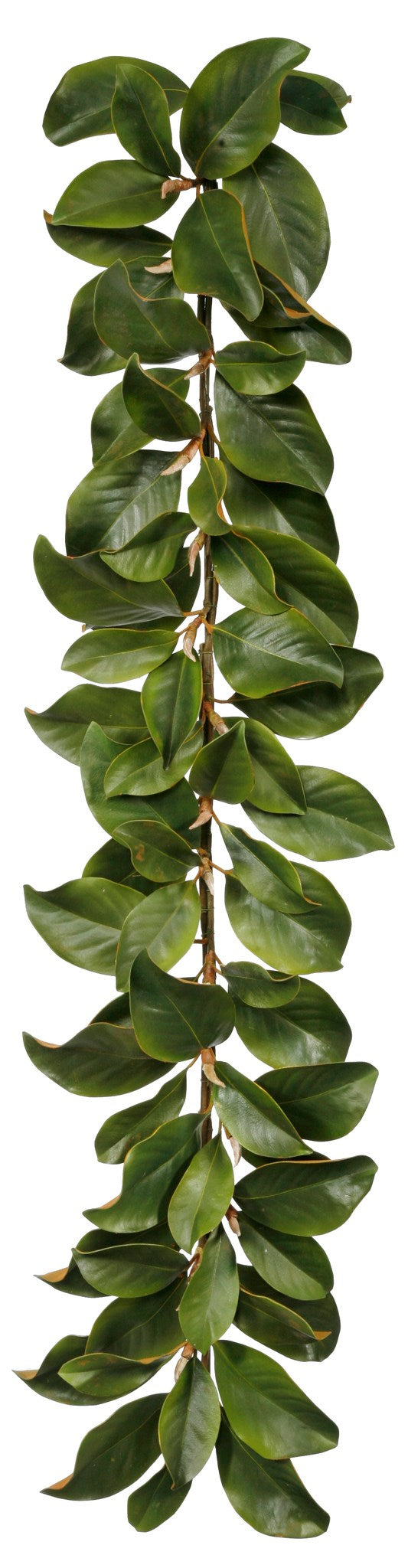 Magnolia Leaf Garland, Faux
