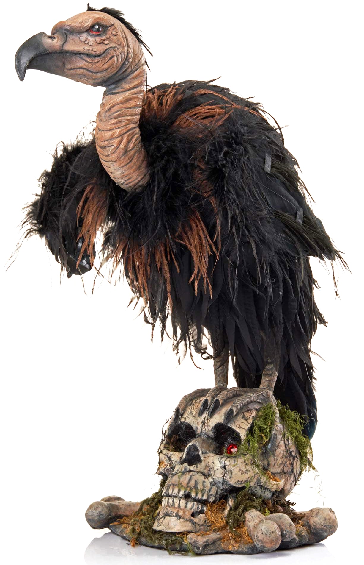 Katherine's Collection Midnight Vulture
