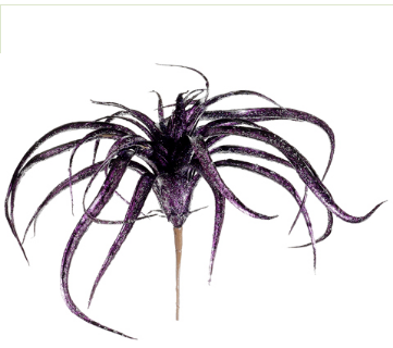 Purple Tillandsia Stem - Halloween Decor
