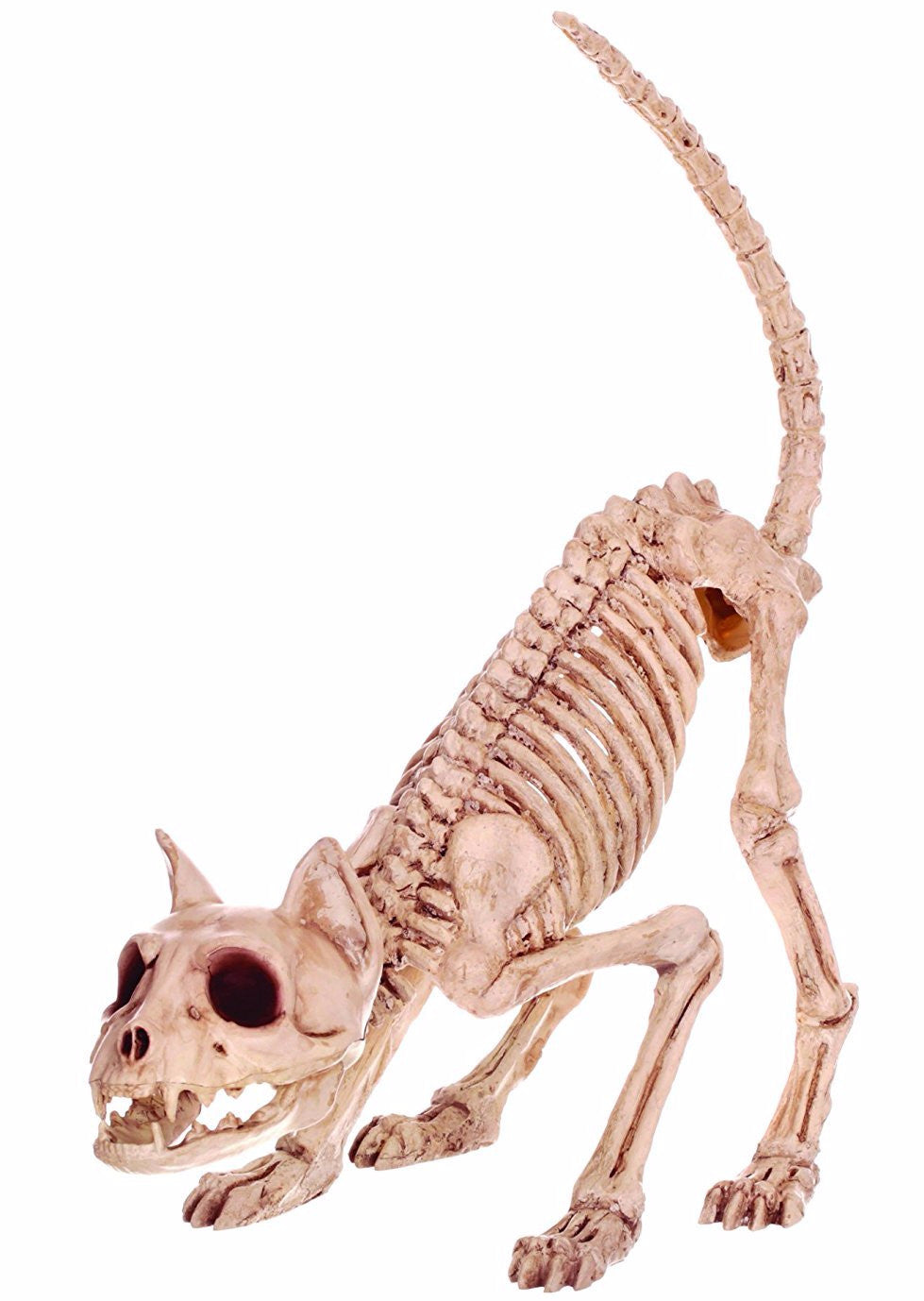 Kitty Cat Skeleton - Ready to Pounce