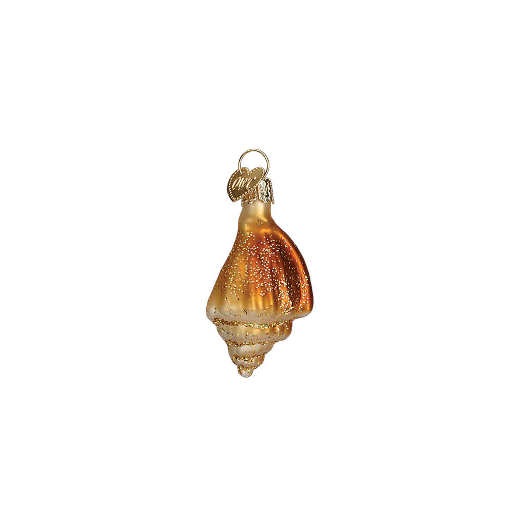 Beach Shell Ornament - Glass Ornaments by Old World Christmas